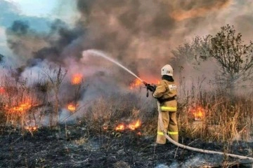 Rusya’da orman yangınlarına müdahale sürüyor
