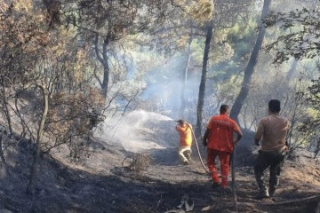 Salihli’de çıkan orman yangını kontrol altına alındı