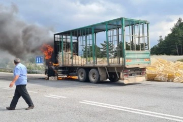 Seyir halindeki kamyon alev alev yandı !