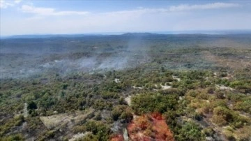 Slovenya'da çıkan orman yangınında 1000 hektarlık alan zarar gördü