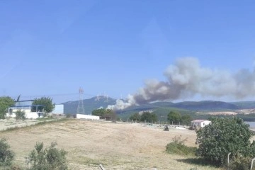 Soma'da farklı noktada ikinci orman yangını