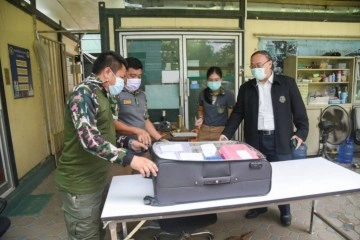 Tayland’dan Hindistan’a giden yolcunun bavulundan 17 adet canlı hayvan çıktı