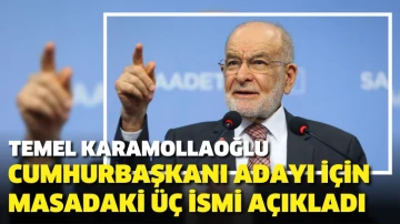 Temel Karamollaoğlu cumhurbaşkanı adayı için masadaki üç ismi açıkladı