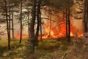 Tokat’ta korkutan orman yangını