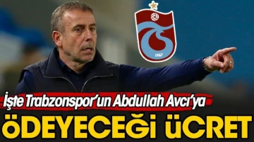 Trabzonspor'un Abdullah Avcı'ya ödeyeceği ücret belli oldu