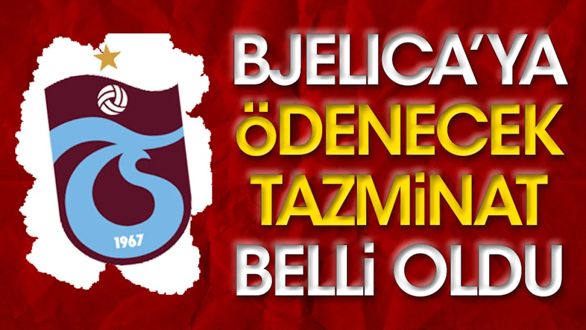 Trabzonspor'un Bjelica'ya ödeyeceği tazminat belli oldu