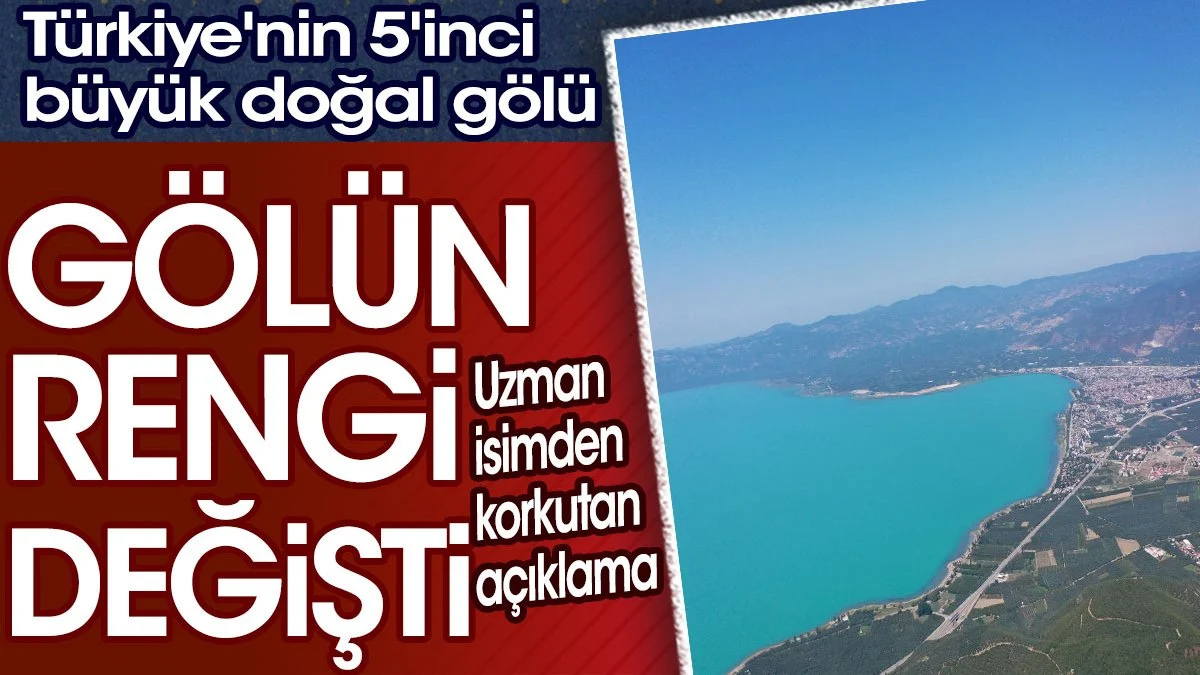 Türkiye'nin en büyük tatlı su kaynaklarından Bursa'daki İznik Gölü’nün rengi turkuaza döndü