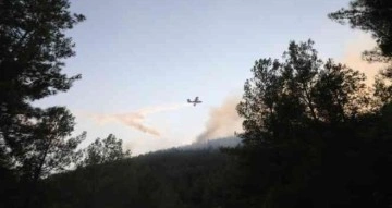 Vali Arslantaş: "Yangının kontrol altına alınması için ekipler cansiparene çalışıyor"
