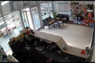 Veteriner kliniğindeki hırsızlık güvenlik kamerasına yansıdı
