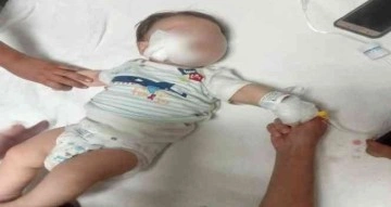 Yörük Şenliği’nde feci olay: Atın ısırdığı bebek ağır yaralandı